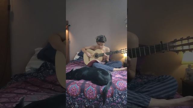 Taranta por El Manu. смотреть онлайн