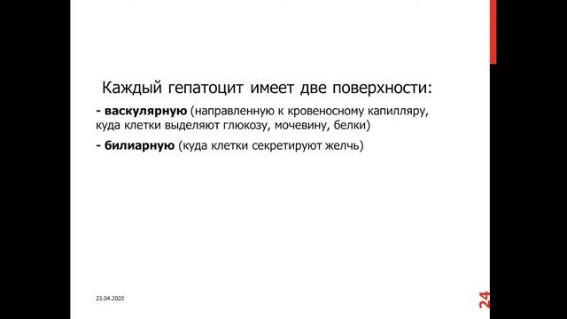 13.50 печень поджелудочная железа смотреть онлайн