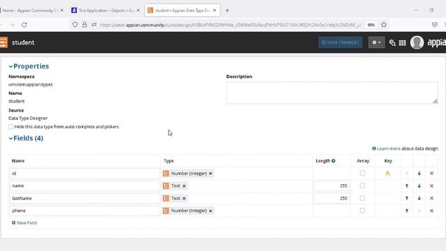 Appian Datatype and Datastore PART 3 смотреть онлайн