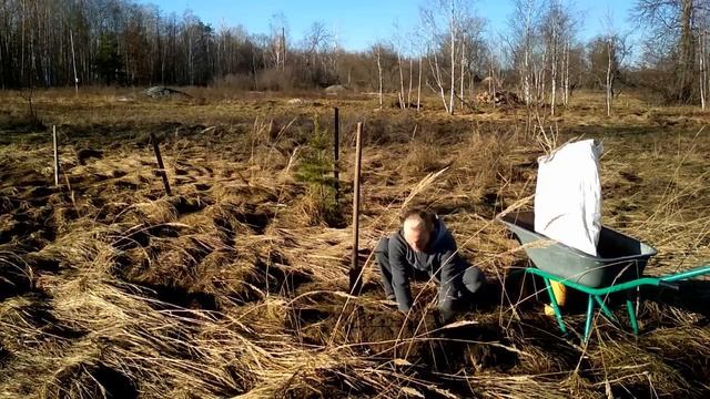 Влог #1 | Это вам не дача президента, а настоящие будни в Родовом Поместье. Как живут в поместьях смотреть онлайн