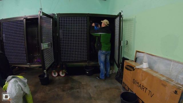 Как мои шимпанзе реагируют на переезд / Сборы смотреть онлайн