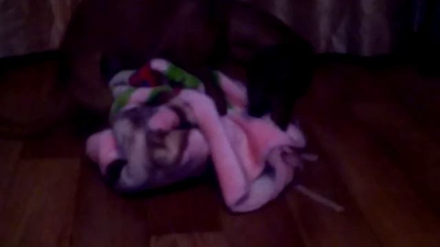 Любовь к одеялу смотреть онлайн