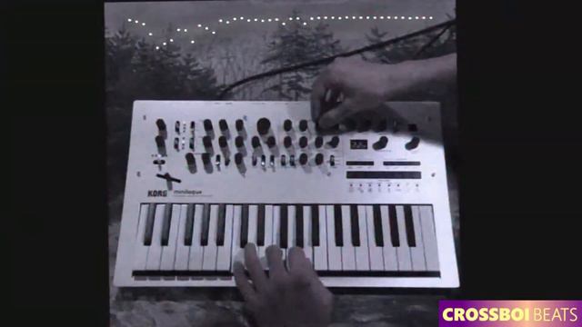 に桜王 【ｌｏ－ｆｉ　ｍｉｎｉｌｏｇｕｅ】 ぺく影ス (FREE VST DOWNLOAD) смотреть онлайн
