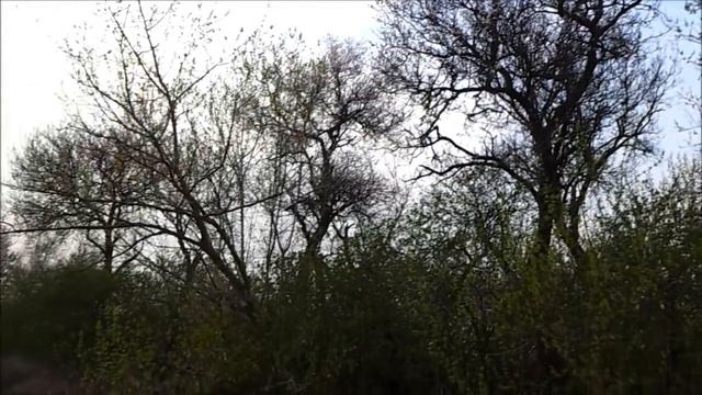 Бесплатный корм - источник белка. Ч. 1. смотреть онлайн