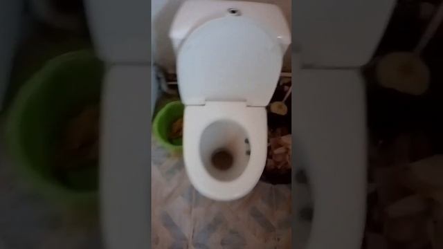 29 мая 2023 г. смотреть онлайн