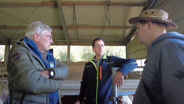 Бички пʼють картопляний суп