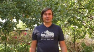 Убирать ли листву из под деревьев и кустарников