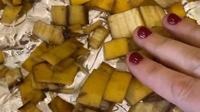 Шкурку от банана не выбрасываю, ведь это лучшее удобрение для цветов и овощей ? смотреть онлайн
