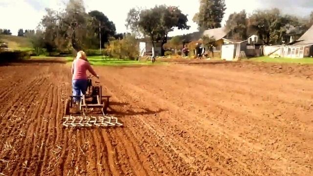 Культиватор MTD T330 M с бороной 2014 смотреть онлайн