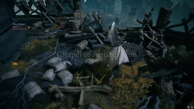 Elden Ring Co-op Randomizer смотреть онлайн