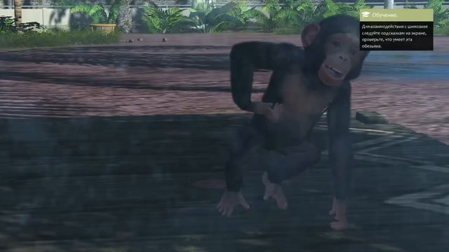 ZOO Tycoon - Красивый Менеджер Зоопарка - Let's Play - Gameplay - Обзор смотреть онлайн