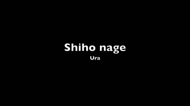 Aikido - Hanmi handachi waza by Bruno Gonzalez смотреть онлайн