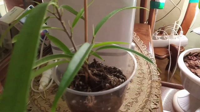 Всем хорошего дня смотреть онлайн