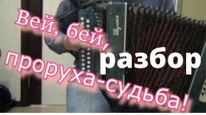 Вей, бей, проруха-судьба // Г.Сукачев РАЗБОР на гармони