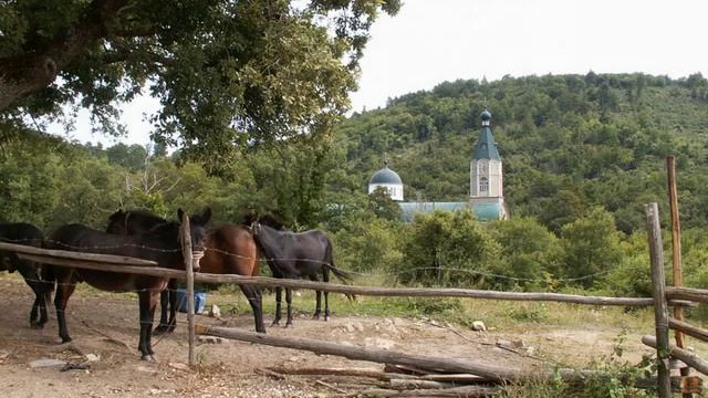 Агни Парфене. Греческие церковные песнопения