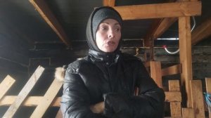 У коз после окотов обострение.Мастит отменяется.Как лечить мастит