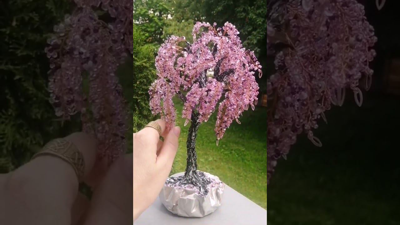 #ВечноЦветущаяСакура смотреть онлайн