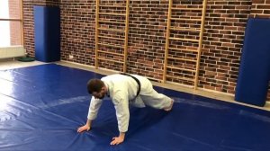 Тренировки дома. Карате Урок 1