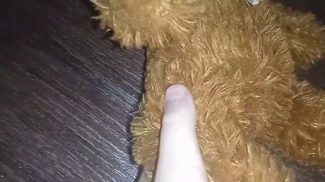 Тедди как Милка! Что же случилось? смотреть онлайн