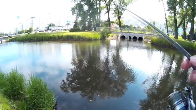 Легкие судачки и окушки, на легкий спиннинг, на реке Свислочь в центре Минска смотреть онлайн