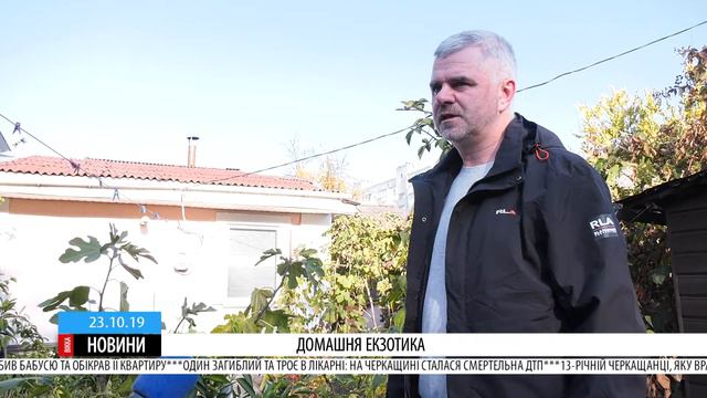 Черкаський садівник-аматор переповів, як самостійно виростити екзотичні фрукти смотреть онлайн