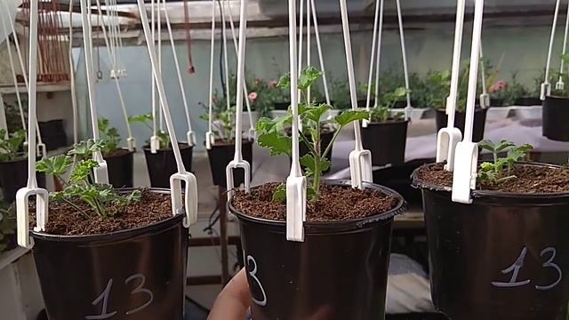 Строительный Компас