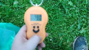 ПОИСК МЕДИ..... Сбор цветмета и банок. Отдали провода. Получил зп)