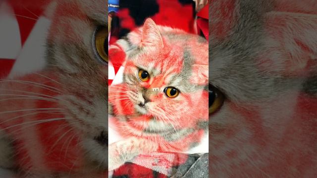 время 3:12 , я думаю через пол часа начну эфир 🤔. это будет в 3:42 , настроим как раз смотреть онлайн