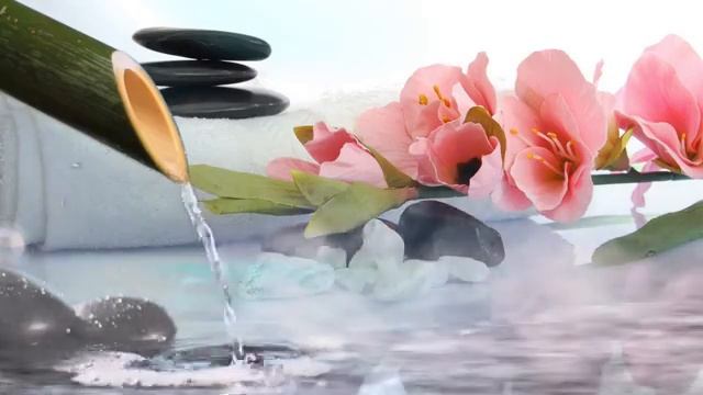 Музыка для глубокого сна, Расслабляющая музыка для сна, Музыка для медитации, Расслабляющая музыка смотреть онлайн