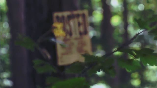 НАЙДЕНА СПУСТЯ 17 ЛЕТ|Загадочное исчезновение Ванды Мэйс||Она разбила вазу и окно смотреть онлайн