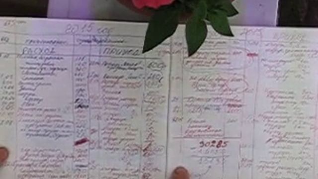 Мой доход с деревенского огорода.Все расчеты! смотреть онлайн