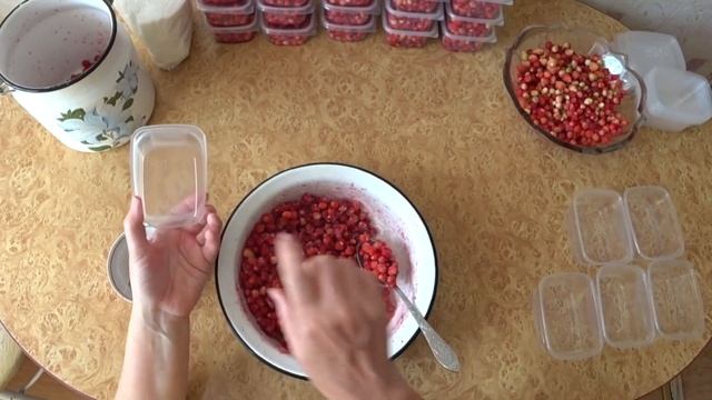 ПОСПЕЛА ЛЕСНАЯ ЗЕМЛЯНИКА. СБОР И ДВА ЛЕГКИХ СПОСОБА ПЕРЕРАБОТКИ НА ЗИМУ ЗЕМЛЯНИКИ НЕ ТЕРЯЯ ВИТАМИН смотреть онлайн