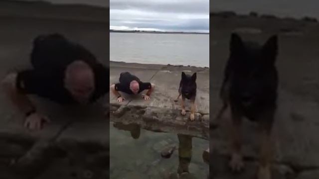 Собака и полицейский делают отжимания видео #22Pushups challenge смотреть онлайн