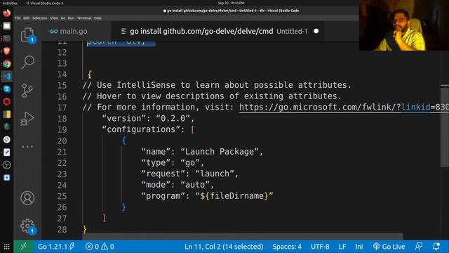 GoLang Debugging Demystified: Mastering Delve Debugger ?? (IN HINDI) смотреть онлайн