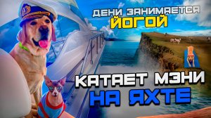 Дени и Мэни впервые в жизни катаются на яхте🛥 Дог-йога в серебряном бору🌳🧘♂️