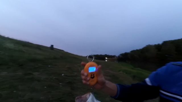 Рыбалка на толстолобика. Ловля толстолобика на технопланктон или как меня обловили. BigFish.