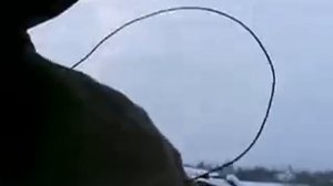 Как ловить зайцев на петлю