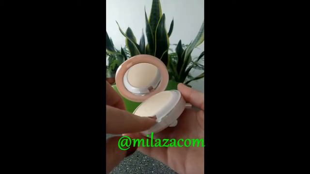 Компактная двойная пудра CLEVER CAT Snail B.B. Powder смотреть онлайн