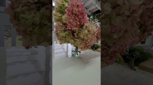 Стабилизация гортензии или как сохранить красоту... Мой маленький эксперимент... 6.10.2023г.
