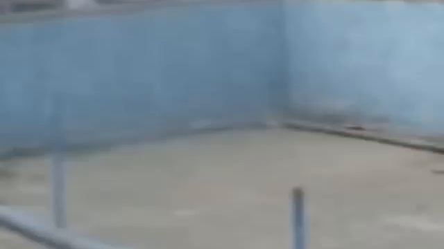 It's My Life (Russian Version)