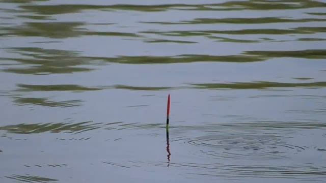 Первые шаги в освоении ловли Карася на поплавок. смотреть онлайн