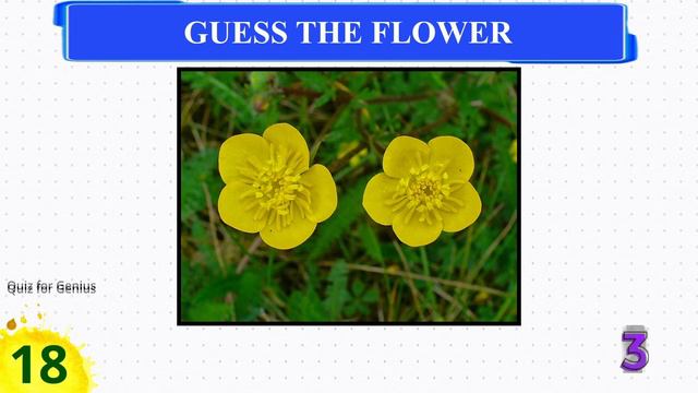 Guess The FLOWER By Image Quiz | Flower Quiz смотреть онлайн
