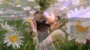 Ромашковое лето.Стихи Людмила Бабкина;муз.Александр Голуб; вок. Любовь Кузнецова.