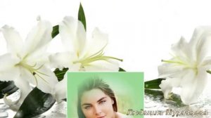 Вечер: "ЛЮБВИ ВСЕ ВОЗРАСТЫ ПОКОРНЫ" Часть 2.