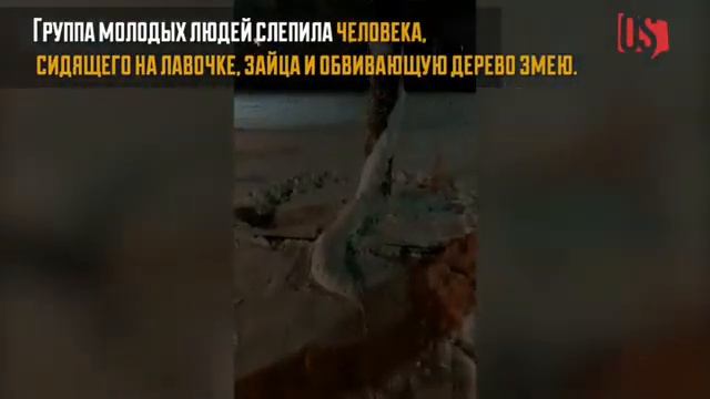 Необычные снежные фигуры поразили жителей Владикавказа 09.01.2019 смотреть онлайн