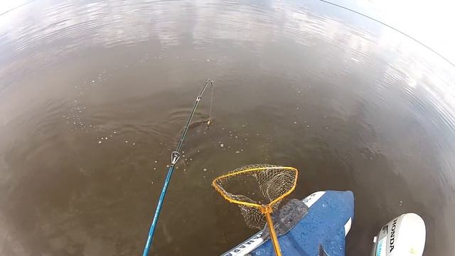 Белое озеро щука 5 кг смотреть онлайн