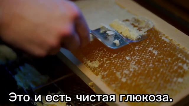 Мёд подсолнуха польза смотреть онлайн