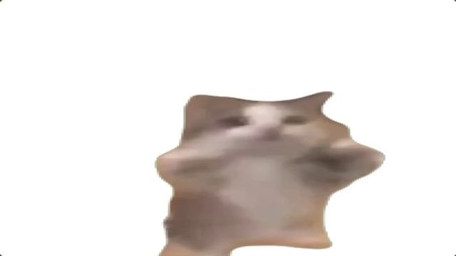 Happy Happy Happy Cat 1 HOUR