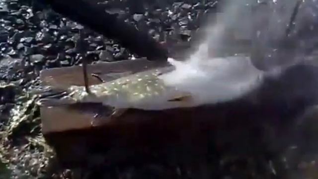 Как быстро почистить Щуку смотреть онлайн