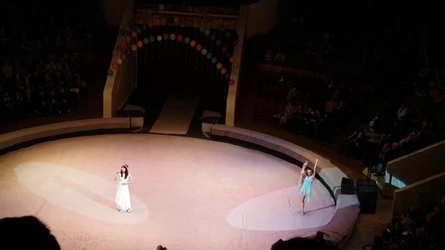 Плакала - Каzka (cover) смотреть онлайн